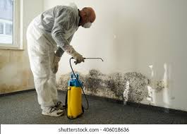 Best Mold Prevention Services in USA